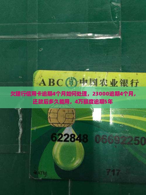 欠建行信用卡逾期4个月如何处理