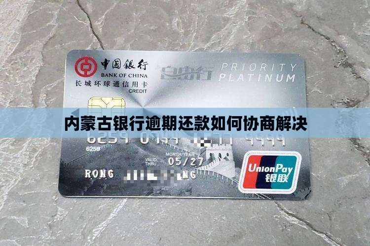 内蒙古银行欠款如何协商解决