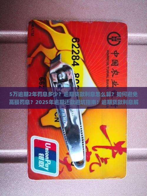 5万逾期2年罚息多少