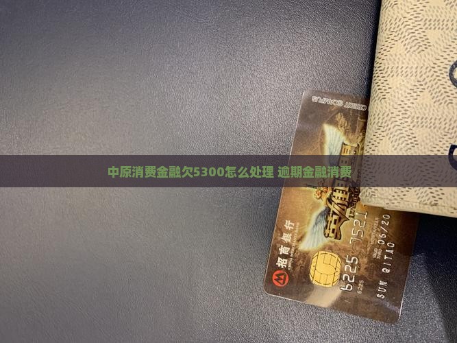 中原消费金融欠5300如何处理
