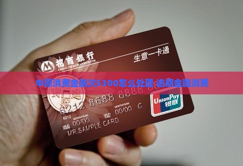 中原消费金融欠5300如何处理