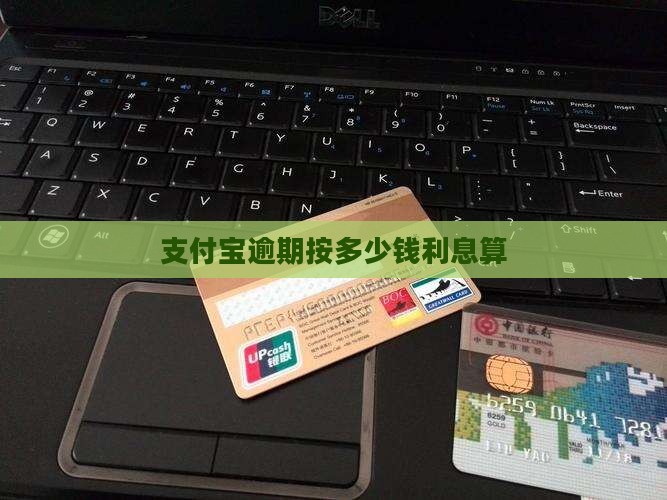 支付宝逾期按多少钱利息算
