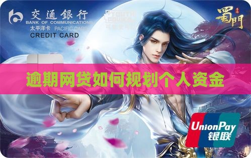 网贷全面逾期后如何规划个人资金