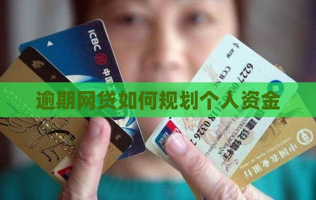 网贷全面逾期后如何规划个人资金