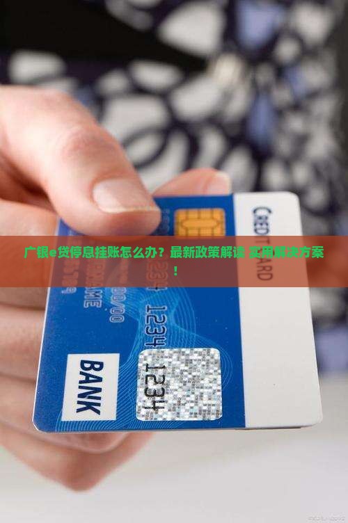 广银e贷停息挂账怎么办