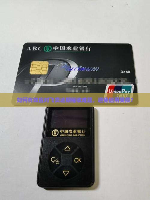 如何有效应对飞贷逾期催收难题，避免信用受损？