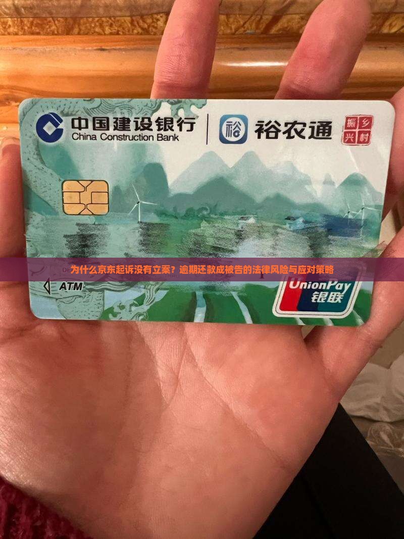 为什么京东起诉没有立案？逾期还款成被告的法律风险与应对策略