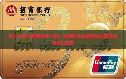 为什么京东起诉没有立案？逾期还款成被告的法律风险与应对策略