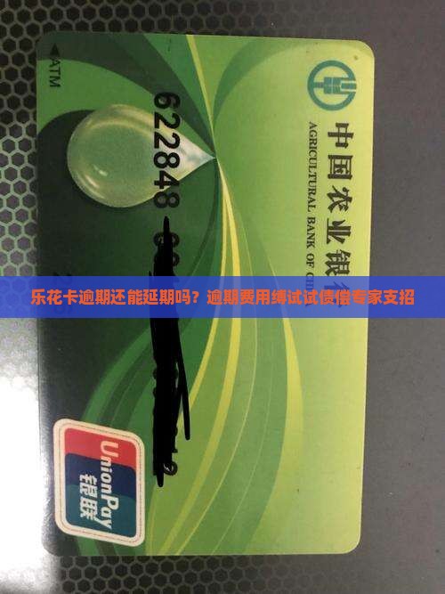 乐花卡逾期还能延期吗？逾期费用缚试试债偿专家支招