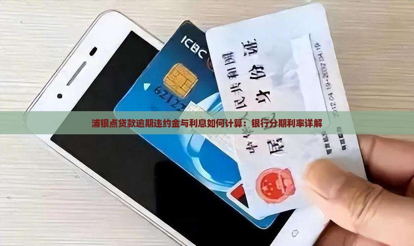 浦银点贷款逾期违约金与利息如何计算：银行分期利率详解