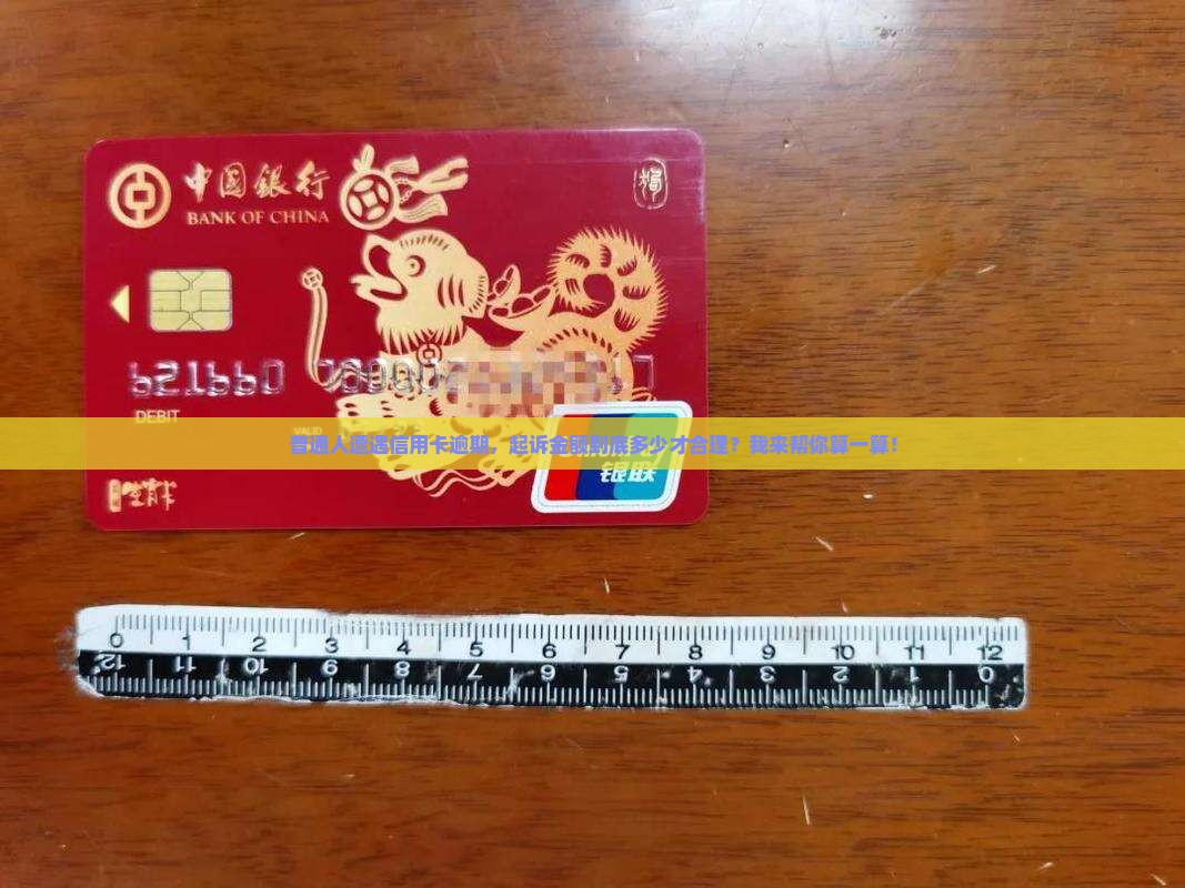 普通人遭遇信用卡逾期，起诉金额到底多少才合理？我来帮你算一算！