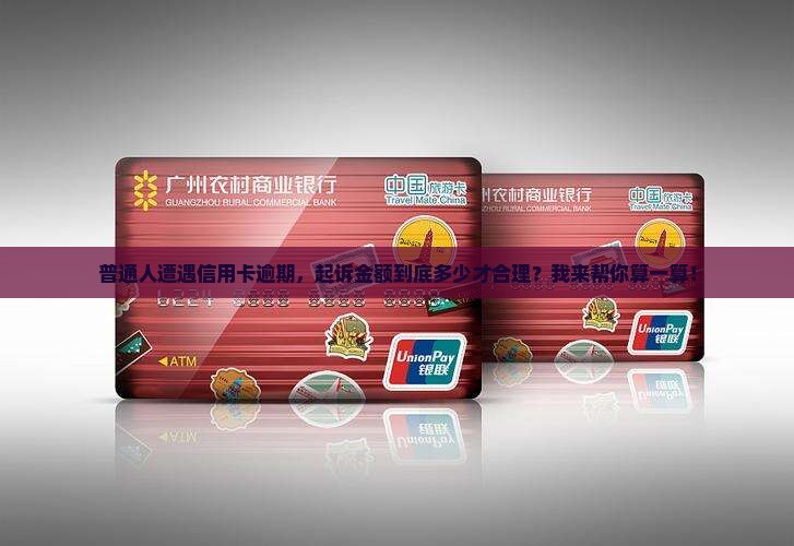 普通人遭遇信用卡逾期，起诉金额到底多少才合理？我来帮你算一算！
