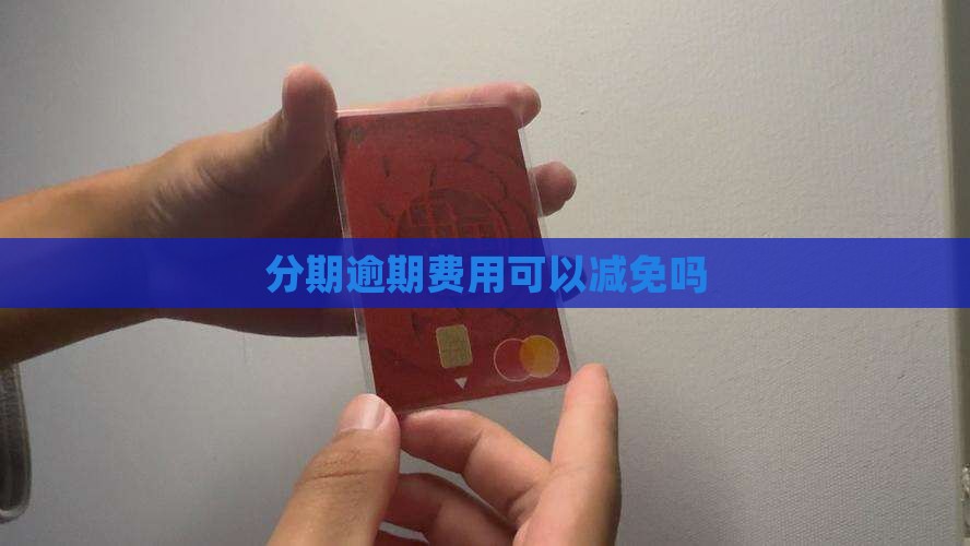 分期逾期费用可以减免吗