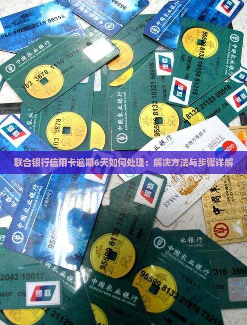 联合银行信用卡逾期6天如何处理：解决方法与步骤详解