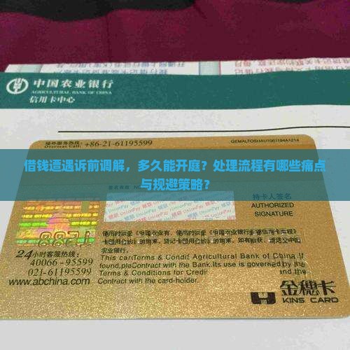 借钱遭遇诉前调解，多久能开庭？处理流程有哪些痛点与规避策略？