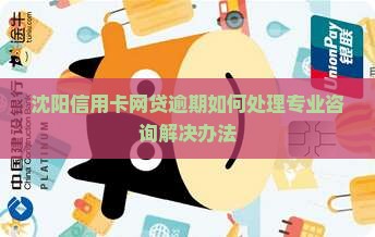 沈阳信用卡网贷逾期如何处理专业咨询解决办法