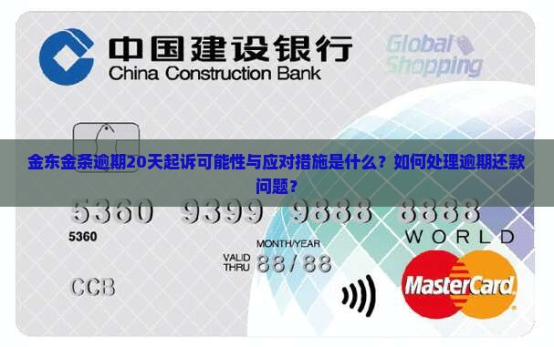 金东金条逾期20天起诉可能性与应对措施是什么？如何处理逾期还款问题？