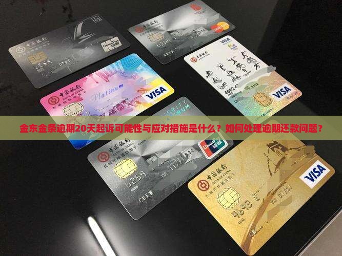 金东金条逾期20天起诉可能性与应对措施是什么？如何处理逾期还款问题？