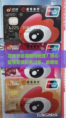 百合贷逾期如何处理？担心信用受损的看过来，逾期党必看解决方案