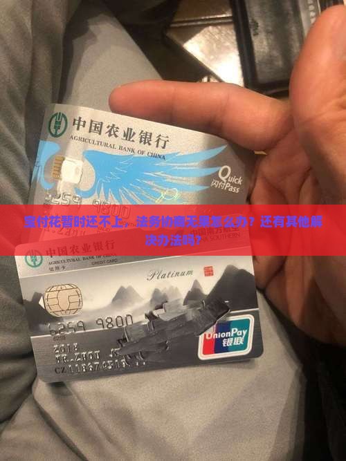 宝付花暂时还不上，法务协商无果怎么办？还有其他解决办法吗？