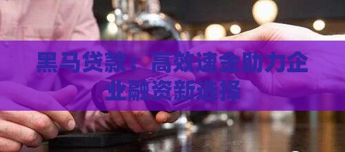 黑马贷款：高效速金助力企业融资新选择