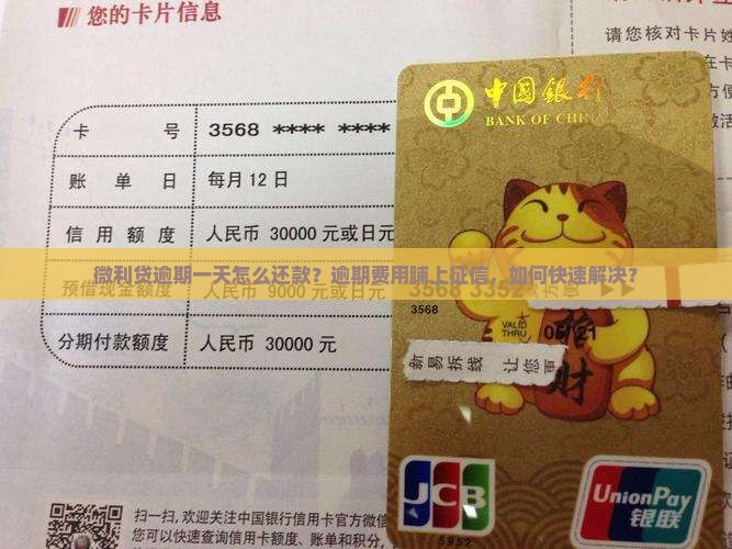 微利贷逾期一天怎么还款？逾期费用脯上征信，如何快速解决？