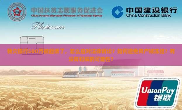 我欠银行500万被起诉了，怎么应对法律诉讼？如何避免资产被冻结？有没有和解的可能性？
