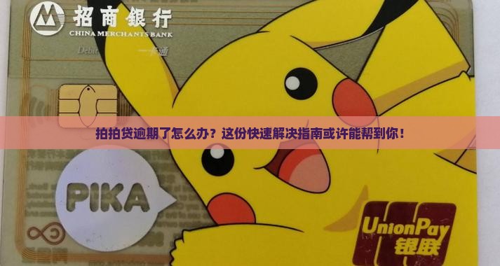 拍拍贷逾期了怎么办？这份快速解决指南或许能帮到你！
