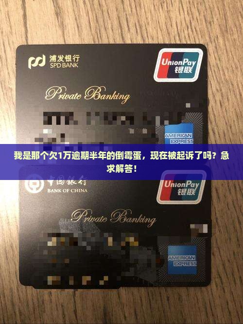 我是那个欠1万逾期半年的倒霉蛋，现在被起诉了吗？急求解答！