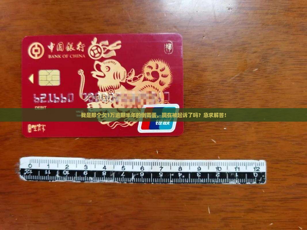 我是那个欠1万逾期半年的倒霉蛋，现在被起诉了吗？急求解答！