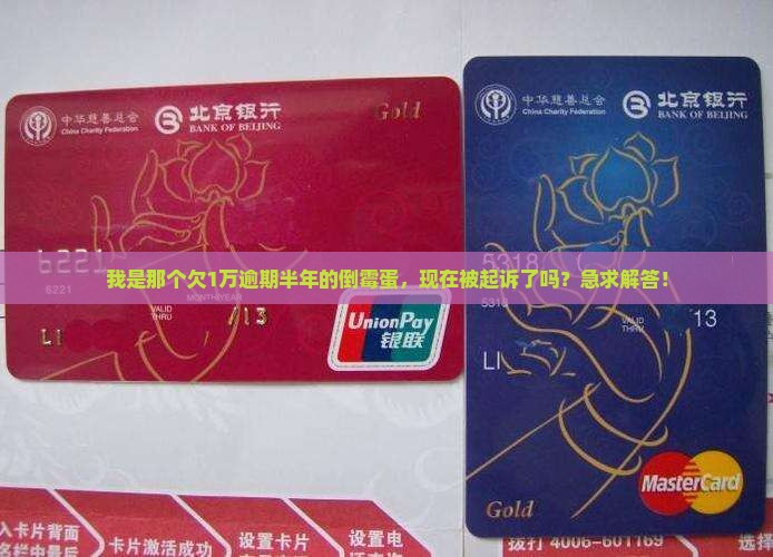 我是那个欠1万逾期半年的倒霉蛋，现在被起诉了吗？急求解答！