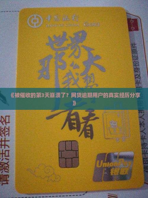 《被催收的第3天崩溃了？网贷逾期用户的真实经历分享》
