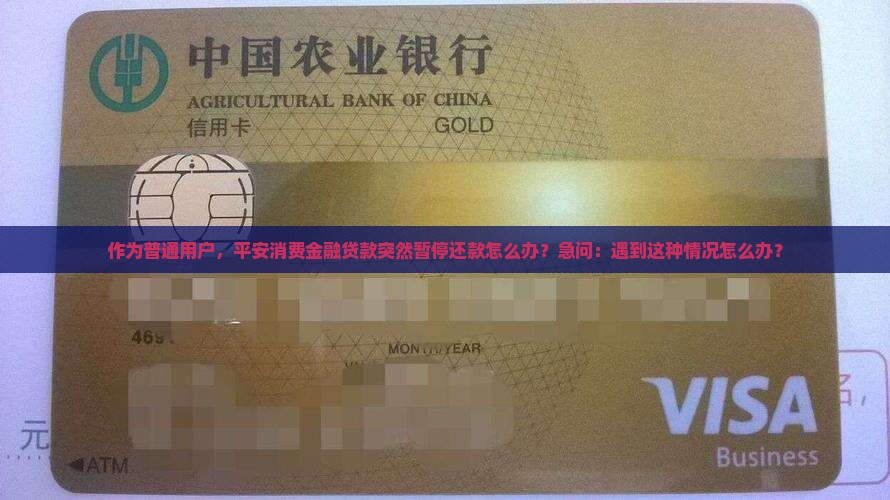 作为普通用户，平安消费金融贷款突然暂停还款怎么办？急问：遇到这种情况怎么办？