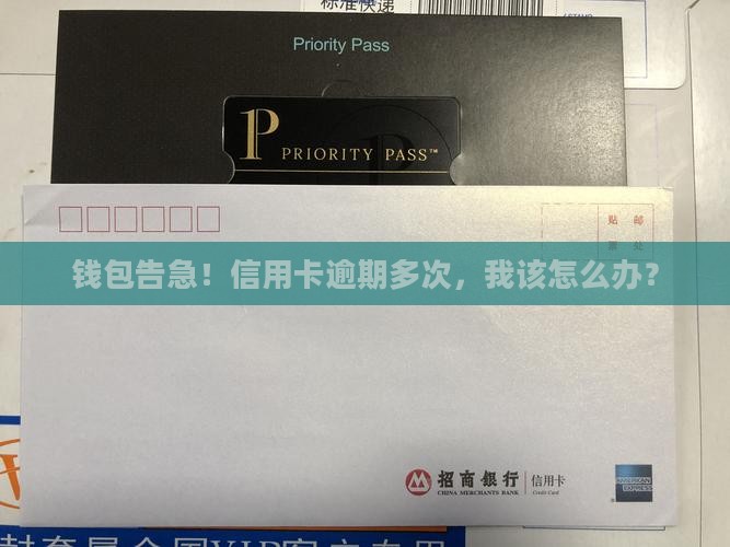 钱包告急！信用卡逾期多次，我该怎么办？