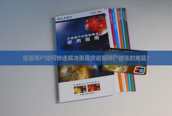 普通用户如何快速解决惠民贷逾期账户被冻的难题？