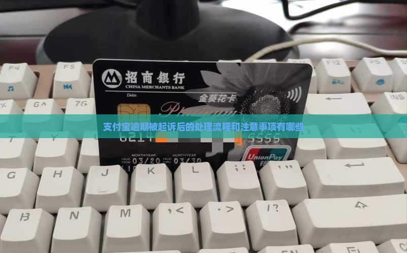 支付宝逾期被起诉后的处理流程和注意事项有哪些