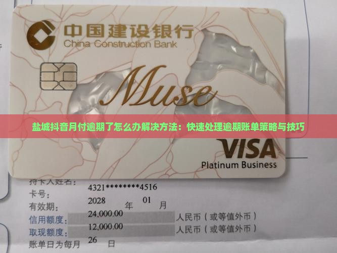 盐城抖音月付逾期了怎么办解决方法：快速处理逾期账单策略与技巧