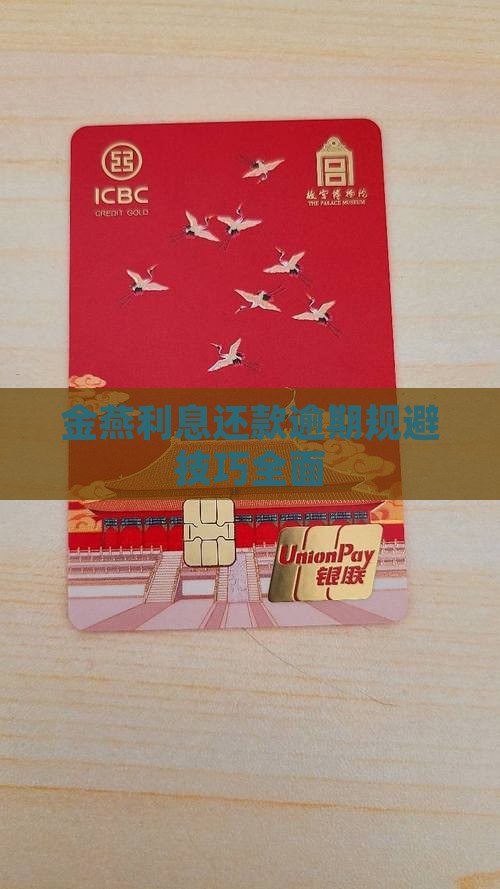 金燕利息还款逾期规避技巧全面