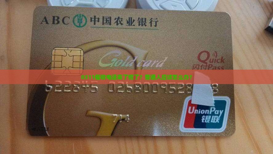0311催收电话来了慌了？普通人应该怎么办？