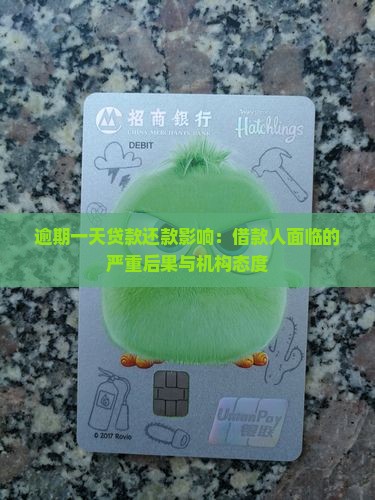 逾期一天贷款还款影响：借款人面临的严重后果与机构态度