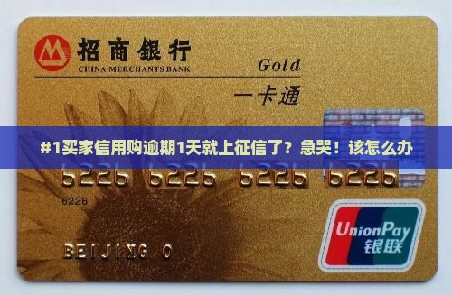 #1买家信用购逾期1天就上征信了？急哭！该怎么办