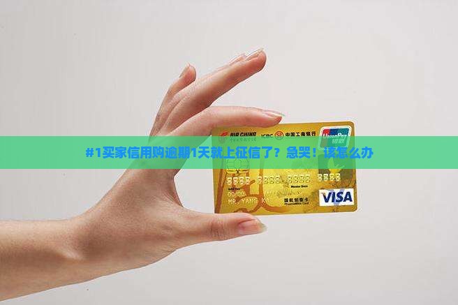 #1买家信用购逾期1天就上征信了？急哭！该怎么办