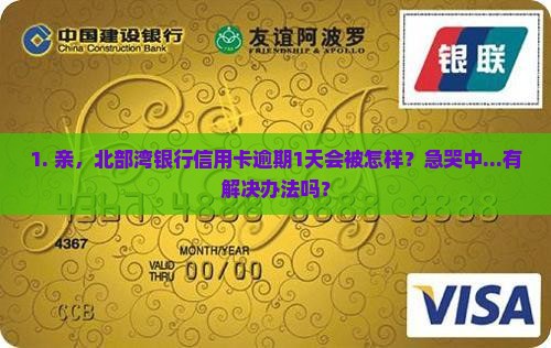1. 亲，北部湾银行信用卡逾期1天会被怎样？急哭中...有解决办法吗？