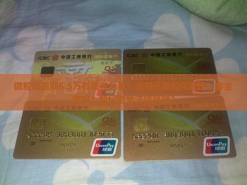 微粒贷逾期6.5万有哪些后果？逾期还款如何处理？会坐牢吗？如何避免法律风险？