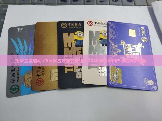 网贷金融逾期了3万多应该怎么处理