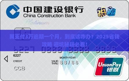 翼支付3万逾期一个月了