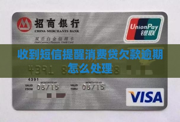 收到消费贷欠款
