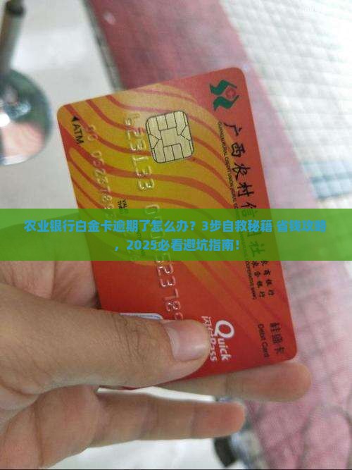 农业银行白金信用卡逾期如何处理