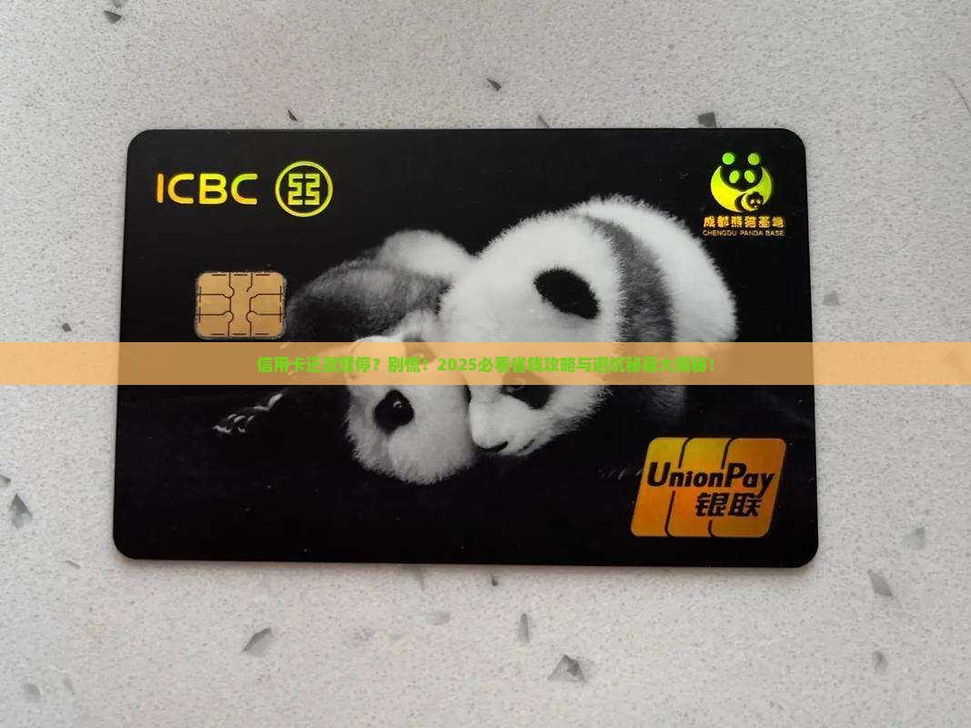 信用卡暂停还款什么意思呀