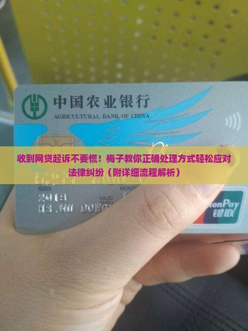 网贷已经起诉了我怎么应对